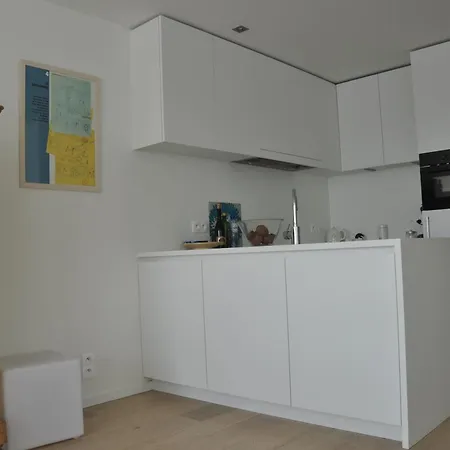 Lelantina Апартаменты Ньивпорт